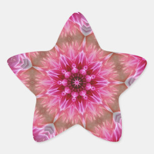 Rosa Blume Kaleidoskop Mandala-43895 Stern-Aufkleber