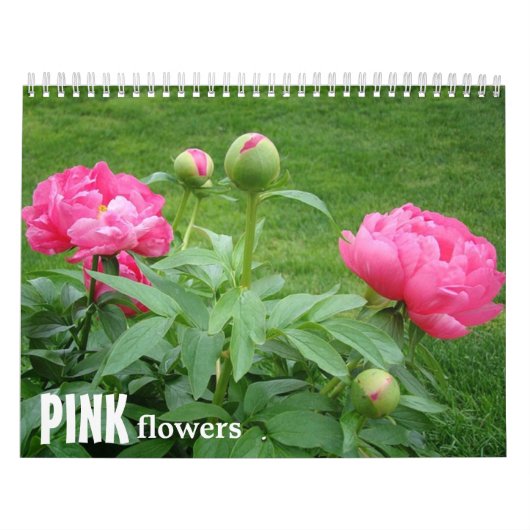 Rosa Blume Kalender (Titelbild)