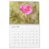 Rosa Blume Kalender (Jan 2027)