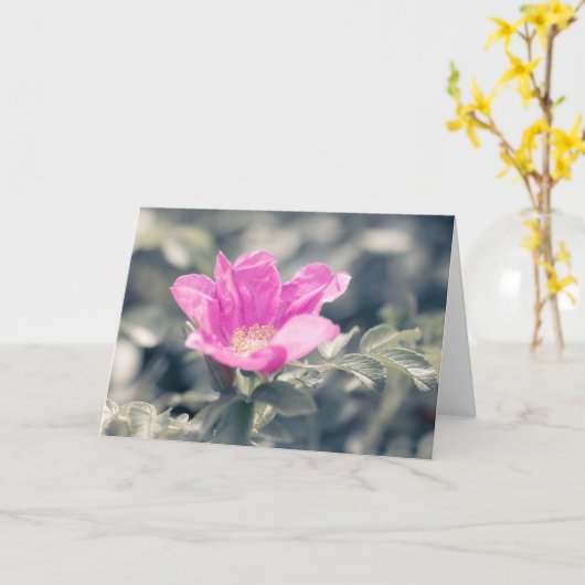 Rosa-Blume Karte (Gelbe Blume)