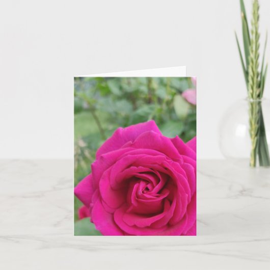 Rosa Blume Karte (Vorderseite)