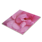 Rosa Blume Keramik Fliese (Seite)