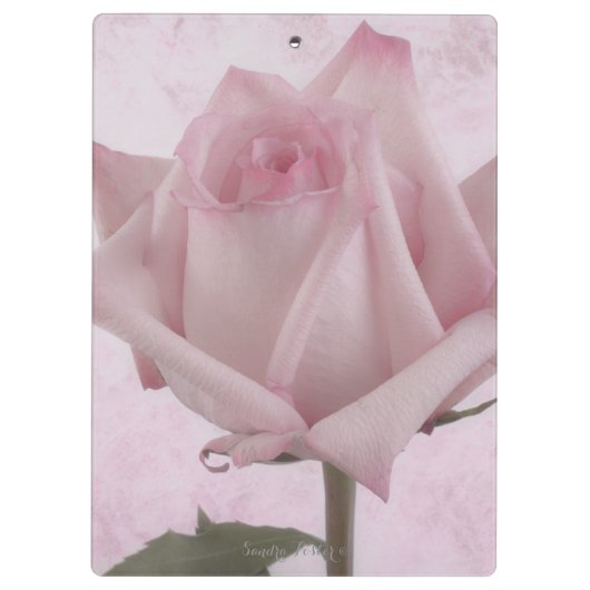 Rosa-Blume Klemmbrett (Rückseite)