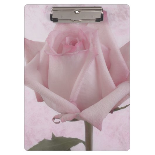 Rosa-Blume Klemmbrett (Vorderseite)