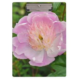 Rosa Blume Klemmbrett