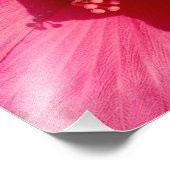 Rosa Blume Kodak Berufliches Foto Papier (Satin) (Ecke)