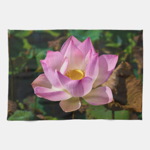 Rosa Blume Küchentücher