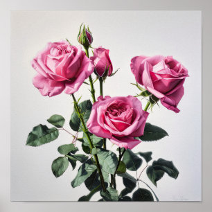 Rosa Blume Kunst drucken Poster