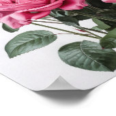 Rosa Blume Kunst drucken Poster (Ecke)