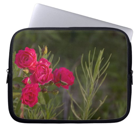 Rosa Blume Laptopschutzhülle (Vorderseite)