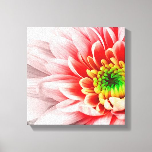 Rosa Blume Leinwand (Vorderseite)