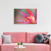 Rosa Blume Leinwand (Insitu (Wohnzimmer))