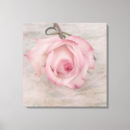 Rosa-Blume Leinwanddruck