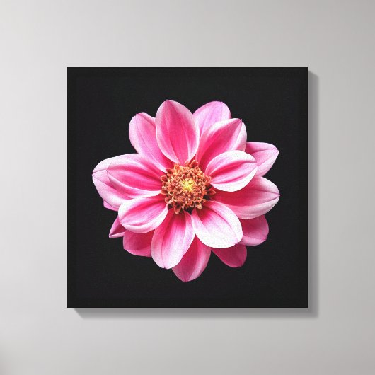 Rosa Blume Leinwanddruck (Vorderseite)