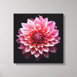 Rosa Blume Leinwanddruck