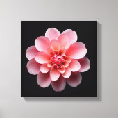 Rosa Blume Leinwanddruck (Vorderseite)