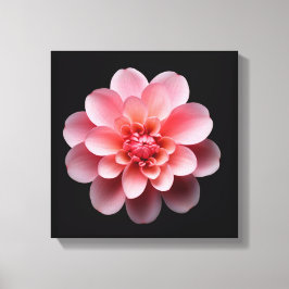 Rosa Blume Leinwanddruck