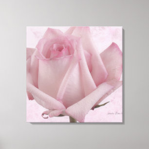 Rosa-Blume Leinwanddruck