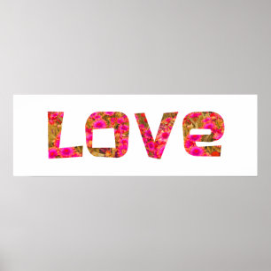 Rosa Blume Liebe Typografie Plakatwand Poster