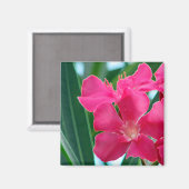 Rosa Blume Magnet (Vorderseite/Rückseite)