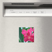 Rosa Blume Magnet (In Situ (Geschirrspüler))