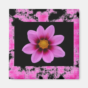 Rosa Blume Magnet
