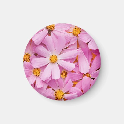 Rosa Blume Magnet (Vorne)