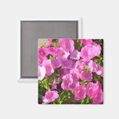 Rosa Blume Magnet (Vorderseite/Rückseite)