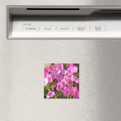 Rosa Blume Magnet (In Situ (Geschirrspüler))