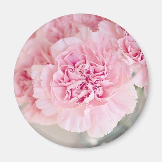 Rosa Blume Magnet (Vorne)