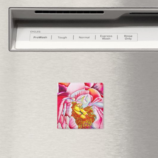 Rosa Blume Magnet (In Situ (Geschirrspüler))