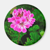 Rosa Blume Magnet (Vorne)