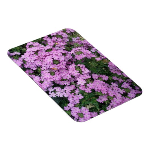 rosa Blume Magnet (Rechte Seite)