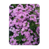 rosa Blume Magnet (Vertikal)