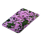 rosa Blume Magnet (Linke Seite)