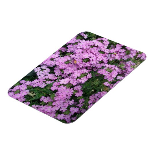 rosa Blume Magnet (Linke Seite)