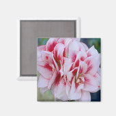 Rosa Blume Magnet (Vorderseite/Rückseite)