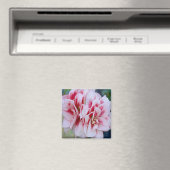 Rosa Blume Magnet (In Situ (Geschirrspüler))