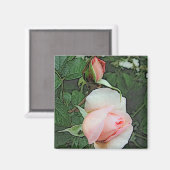 Rosa Blume Magnet (Vorderseite/Rückseite)