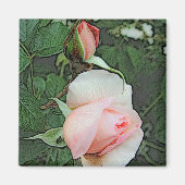 Rosa Blume Magnet (Vorne)