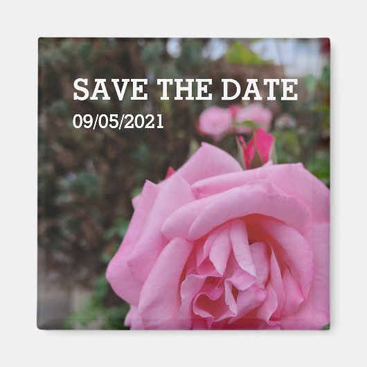 Rosa Blume Magnet (Vorne)