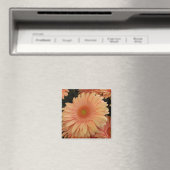 Rosa Blume Magnet (In Situ (Geschirrspüler))