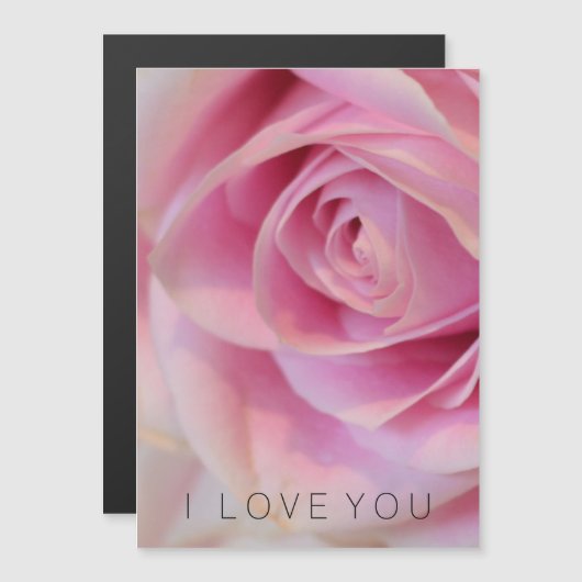 Rosa Blume Magnetkarte (Vorne/Hinten)