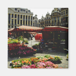 Rosa Blume Markt am Hauptplatz, Brüssel, Belgi Magnet