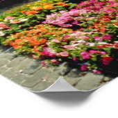 Rosa Blume Markt am Hauptplatz, Brüssel, Belgi Poster (Ecke)