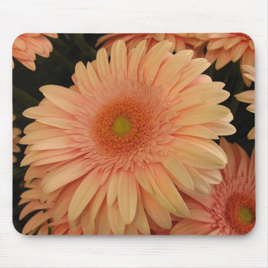 Rosa Blume Maus-Pad Mousepad (Vorne)