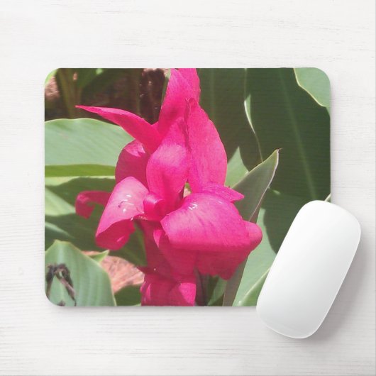 Rosa Blume Maus-Pad Mousepad (Mit Mouse)
