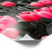 Rosa Blume Minimalistisch Selektive Farbe Fotodruck (Ecke)