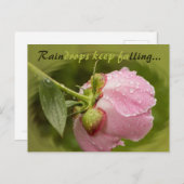 Rosa Blume mit glitzernden Regentropfen CC0506 Postkarte (Vorne/Hinten)
