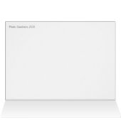 Rosa Blume mit glitzernden Regentropfen CC0778 (Innenansicht Horizontal (Oben))